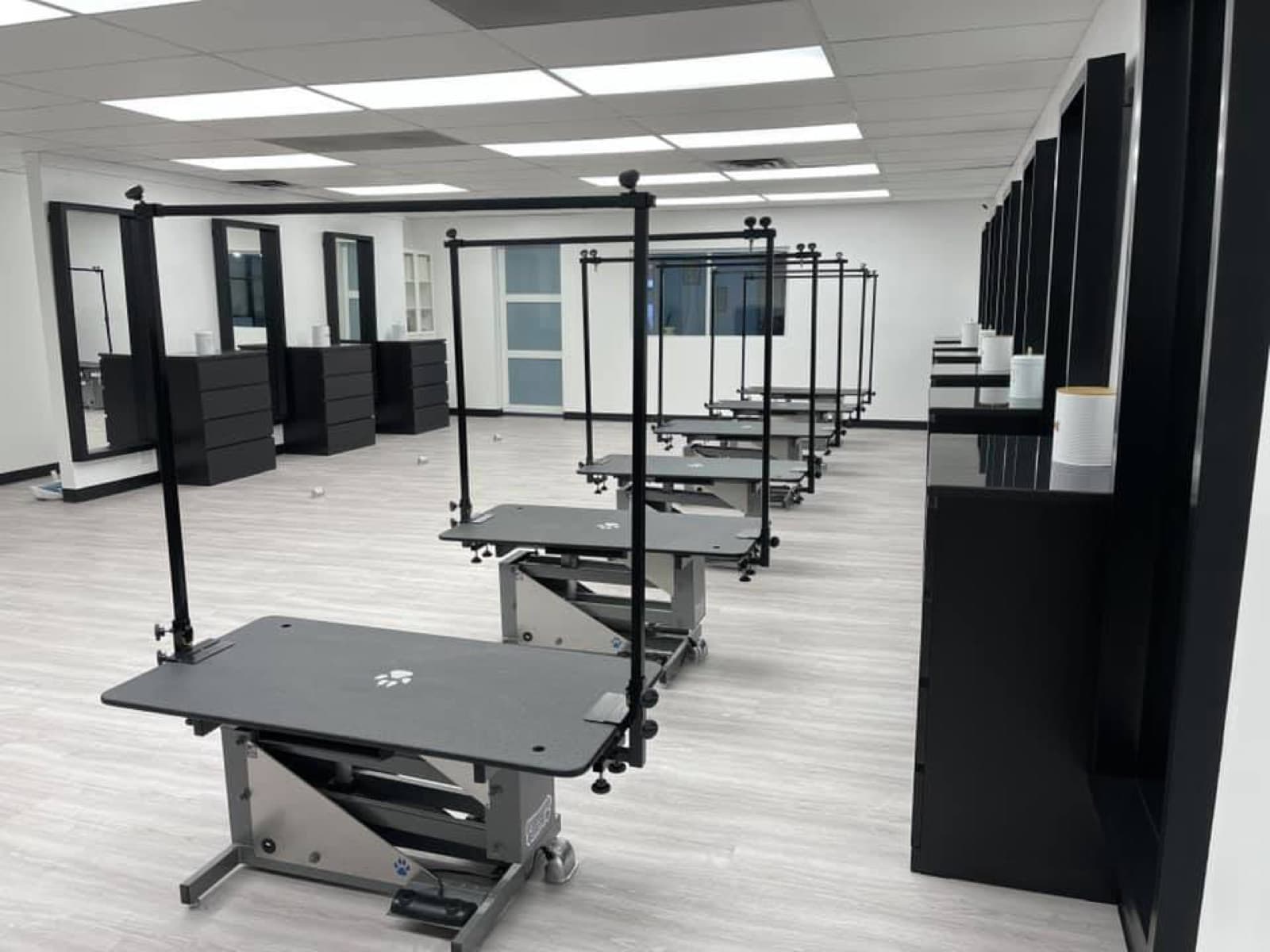 Grooming tables with arms