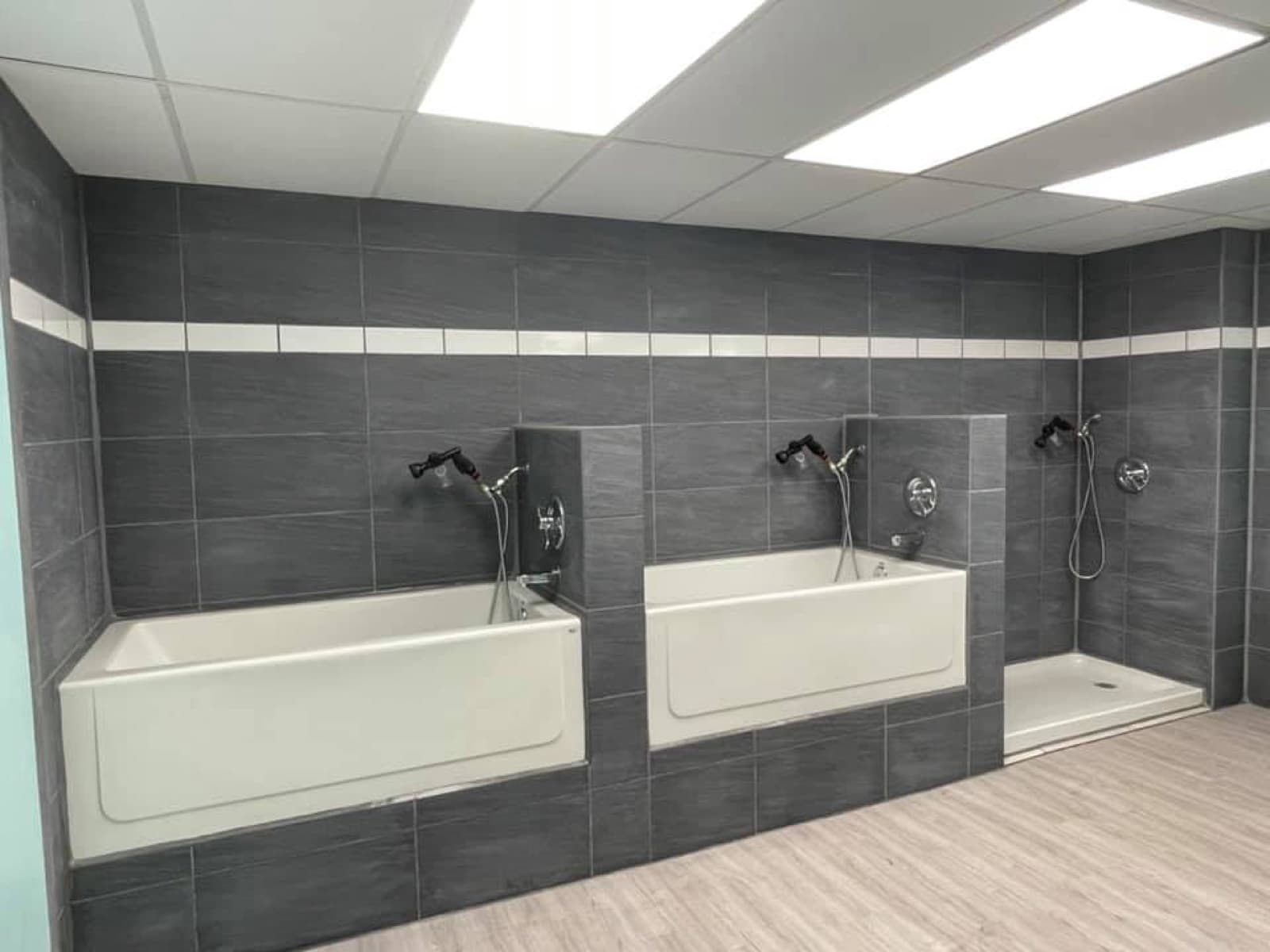 Walk-in dog bathing tubs